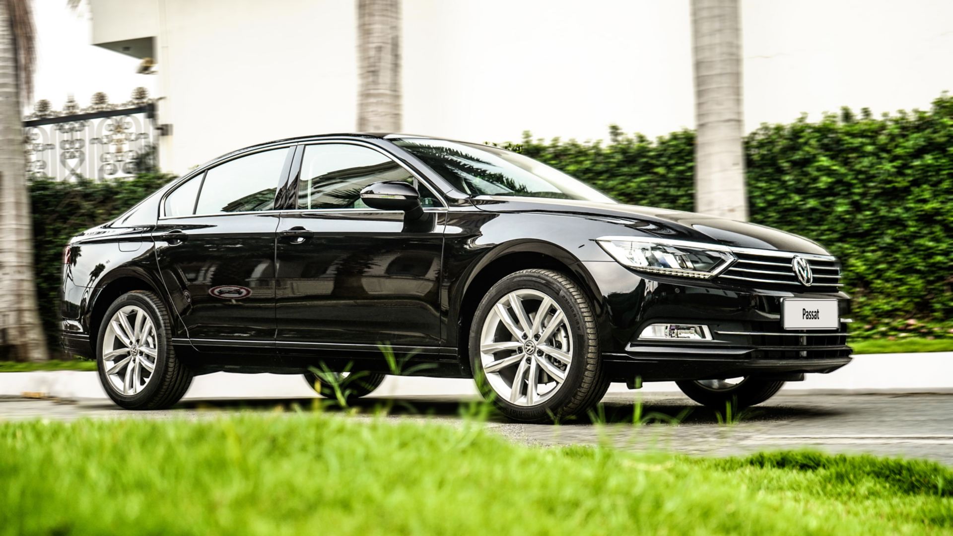 passat-2021